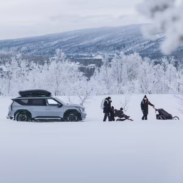 Thule Motion 3 M кровен куфер - Image 8